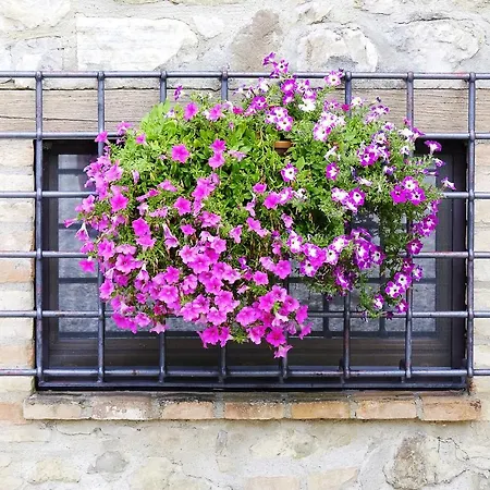 Bed & Breakfast Casale Le Orme