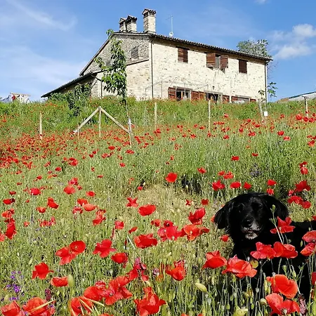 Casale Le Orme 3* Todi