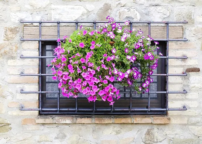 Bed & Breakfast Casale Le Orme