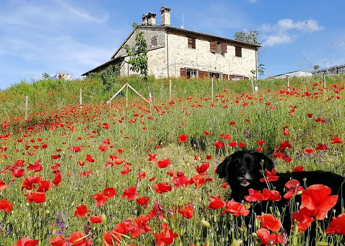 Casale Le Orme Bed & Breakfast