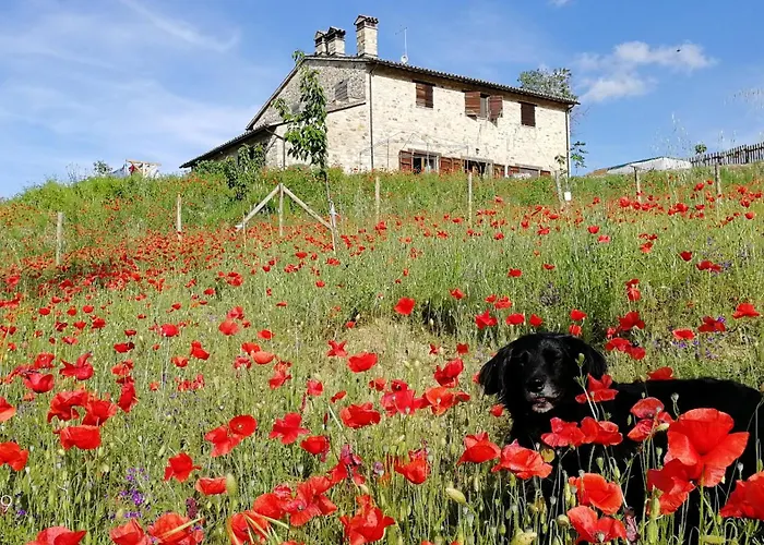 Casale Le Orme 4* Todi